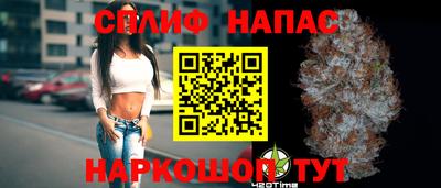 гашик Новозыбков