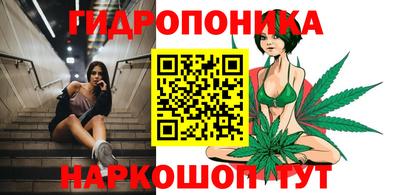 гашик Новозыбков