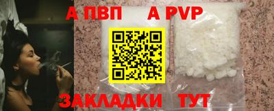 гашик Новозыбков